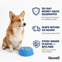 Slow Feeder Lick Bowl — Anti-Choking, Non-Slip